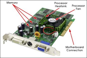 ͸Ժ: graphics-card-5